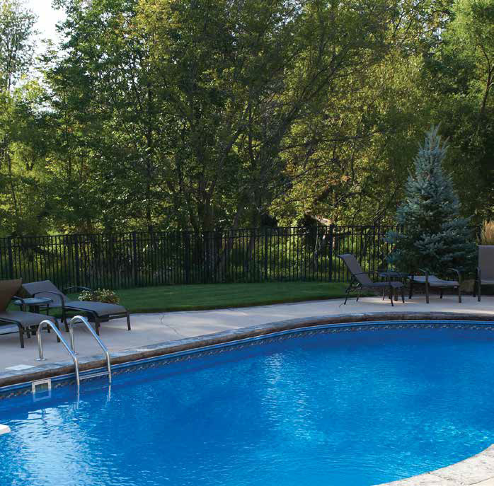 Full backyard vinyl pool and fencing